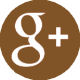 Icon-GooglePlus-RedCircle-150x150brown